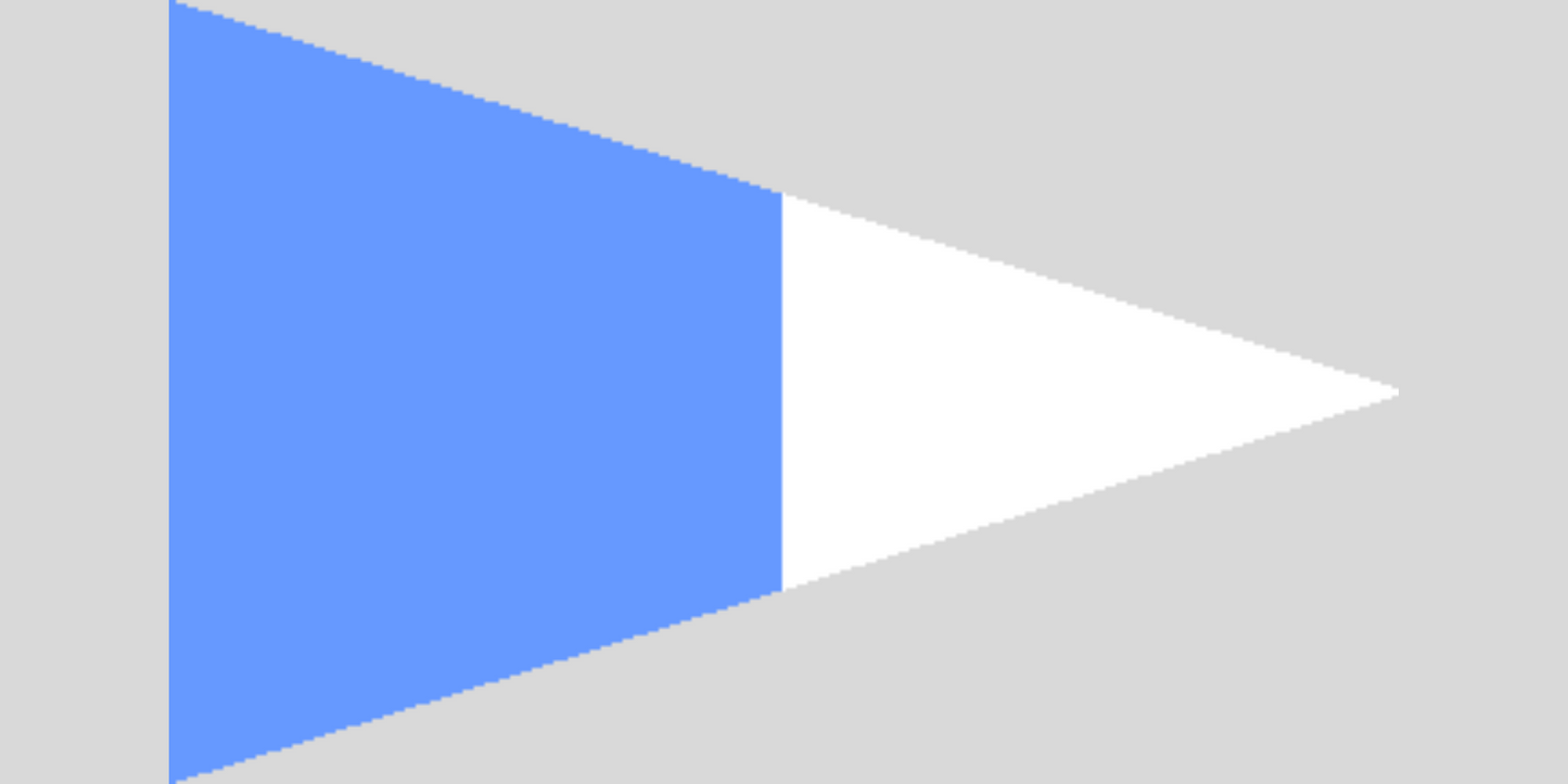 Second Substitute Code Flag