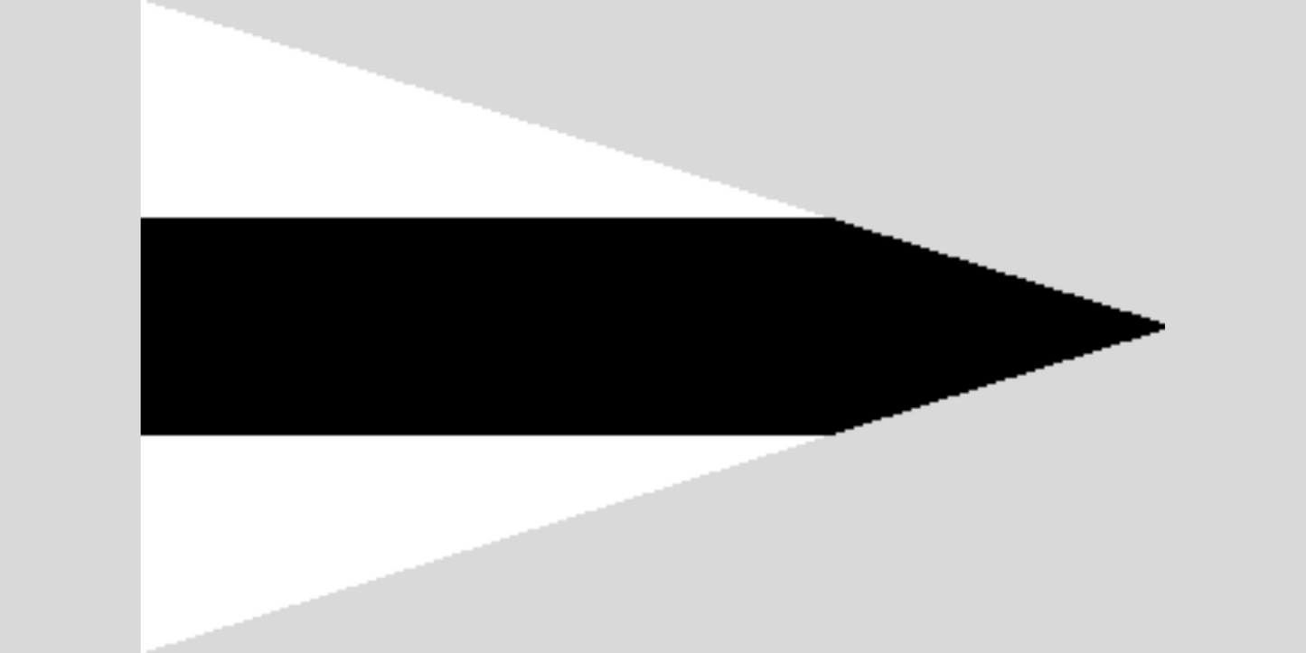 Third Substitute Code Flag