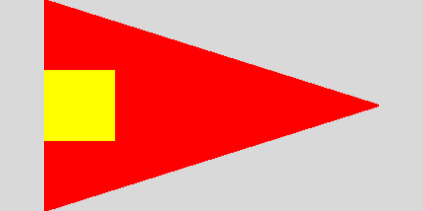 Fourth Substitute Code Flag 