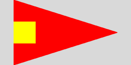 Fourth Substitute Code Flag 