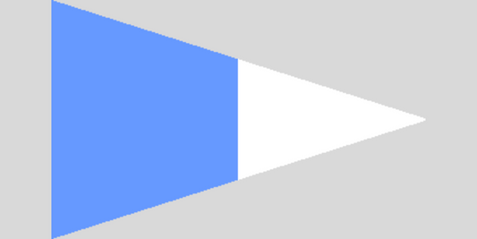 Second Substitute Code Flag 